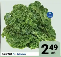 Pasquier Kale Vert offer