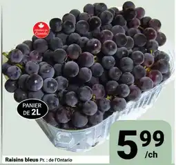 Pasquier Raisins bleus offer