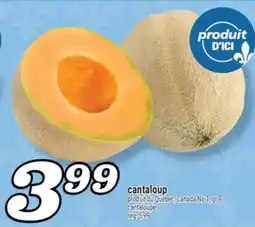 Marché Richelieu CANTALOUP | CANTALOUPE offer