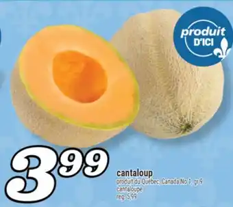 Marché Richelieu CANTALOUP | CANTALOUPE offer