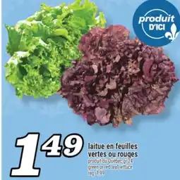 Marché Richelieu laitue en feuilles vertes ou rouges | green or red leaf lettuce offer