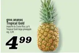 Marché Richelieu GROS ANANAS TROPICAL GOLD | TROPICAL GOLD LARGE PINEAPPLE offer