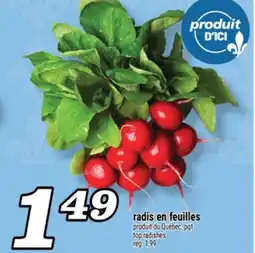 Marché Richelieu radis en feuilles | top radishes offer