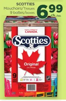 Proxim SCOTTIES Tissues offer