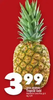 Marche Ami gros ananas Tropical Gold offer