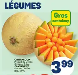 Marché Bonichoix CANTALOUPE offer