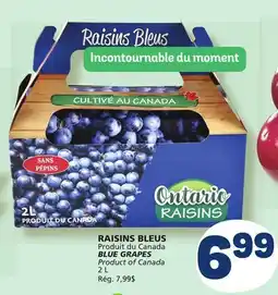 Marché Bonichoix ONTARIO RAISINS BLUE GRAPES offer