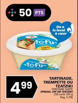 Rachelle-Bery Grocery FONTAINE SANTE SPREAD, DIP OR TZATZIKI offer