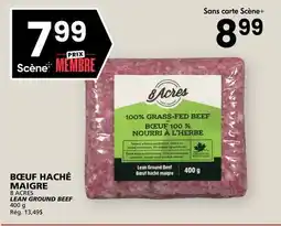 Rachelle-Bery Grocery 8 ACRES LEAN GROUND BEEF offer