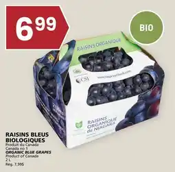 Rachelle-Bery Grocery ORGANIC BLUE GRAPES offer