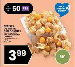 Rachelle-Bery Grocery ORGANIC GROUND CHERRIES offer
