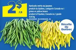 Maxi HARICOTS VERTS OU JAUNES | GREEN OR YELLOW BEANS offer