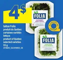 Maxi LAITUE FOLIA | LETTUCE offer