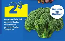 Maxi COURONNE DE BROCOLI | BROCCOLI CROWN offer