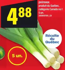Maxi POIREAUX, 5 UN offer
