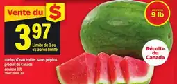 Maxi MELON D'EAU ENTIER SANS PÉPINS, ENVIRON 9 LB offer