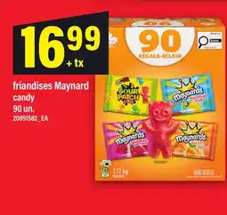 Maxi FRIANDISES MAYNARD | CANDY, 90 UN offer