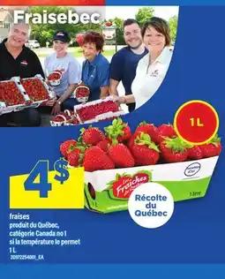 Maxi FRAISES offer