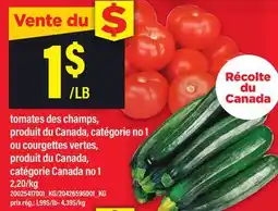 Maxi TOMATES DES CHAMPS offer