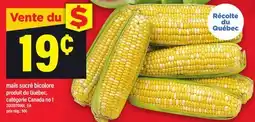 Maxi MAÏS SUCRÉ BICOLORE offer