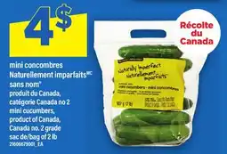 Maxi MINI CONCOMBRES NATURELLEMENT IMPARFAITS SANS NOM | MINI CUCUMBERS, SAC DE/BAG OF 2 LB offer