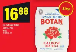 Maxi RIZ CALROSE BOTAN | CALROSE RICE offer