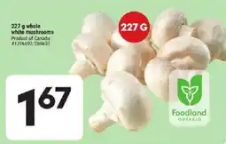 Giant Tiger white mushrooms offer