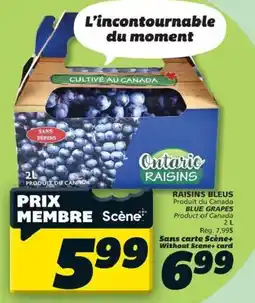 IGA Ontario raisins offer