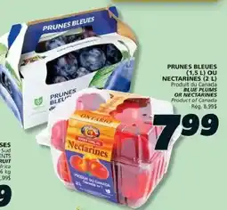IGA Prunes bleues or nectarines offer