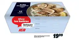 IGA Iga tasting trio oyster box offer