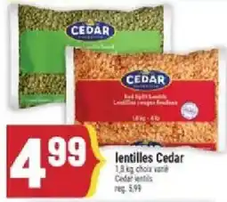 Marché Adonis Cedar lentilles offer