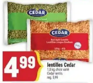 Cedar lentilles