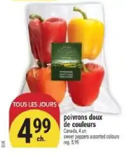 Marché Adonis poivrons doux de couleurs offer