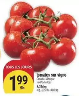 Marché Adonis tomates sur vigne offer