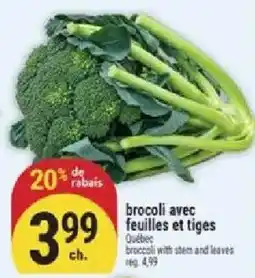 Marché Adonis broccoli with stem and leaves offer