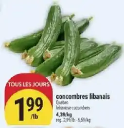 Marché Adonis concombres libanais offer