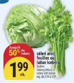 Marché Adonis céleri avec feuilles ou laitue iceberg offer