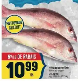 Marché Adonis vivaneau entier offer