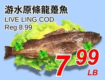 Foody World Live ling cod offer