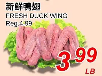Fresh duck wing