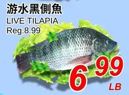 Foody World Live tilapia offer