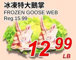 Foody World Frozen goose web offer