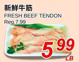 Foody World Fresh beef tendon offer