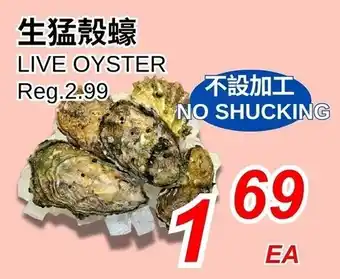 Foody World Live oyster offer