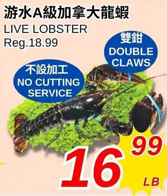 Foody World Live lobster offer