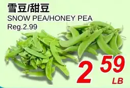 Foody World Snow pea/honey pea offer