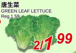 Foody World Green leaf lettuce offer