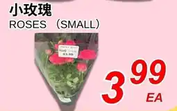 Foody World Roses (small) offer