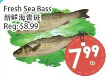 Fresh Palace Supermarket Fresh Sea Bass offer