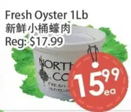 Fresh Palace Supermarket Fresh Oyster offer